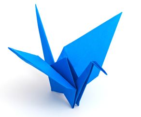 Origami Paper folding